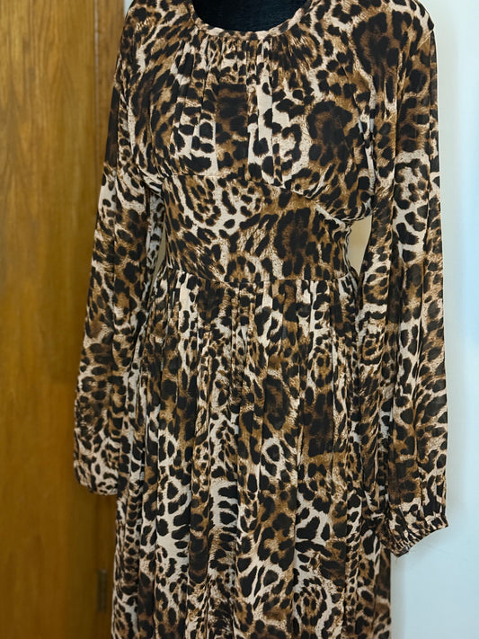 Cheetah Dust